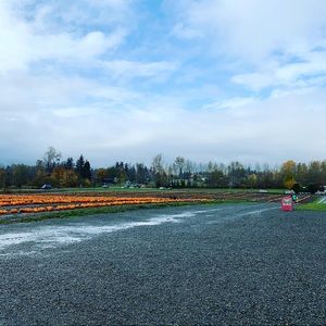 Meet your Posher, Edward l